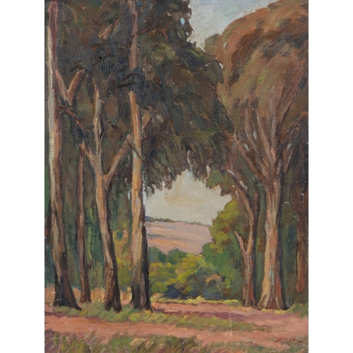 271 - Olchert Braak (South Africa 1894 - 1971): FONTEINE PRETORIA and VINEYARD, two in lot