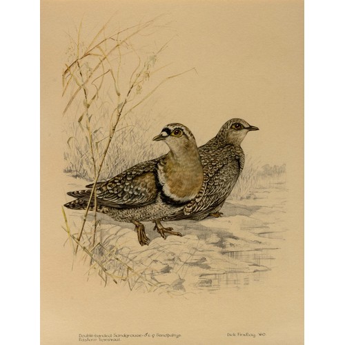 478 - Dick Findley - EIGHT WATERCOLOURS OF GAME BIRDS