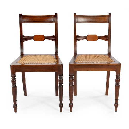 88 - A PAIR OF CAPE REGENCY STINKWOOD CHAIRS, 19TH CENTURY