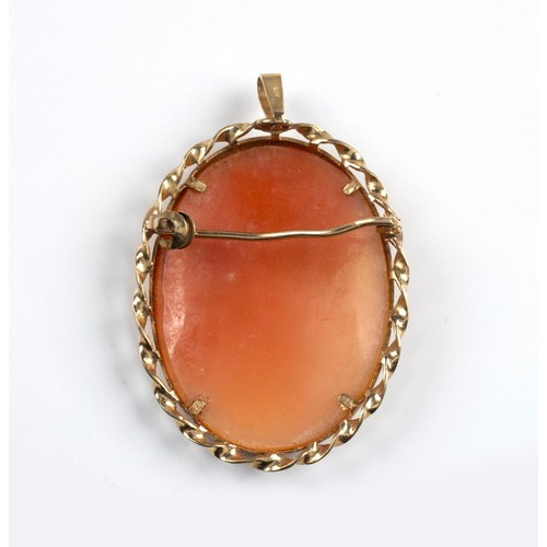 644 - A CAMEO PENDANT/BROOCH