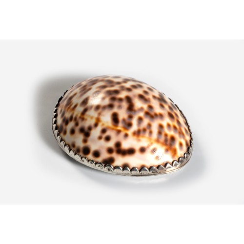 1218 - A CAPE SILVER-MOUNTED COWRIE SHELL SNUFFBOX, THOMAS LOCK TOWNSEND