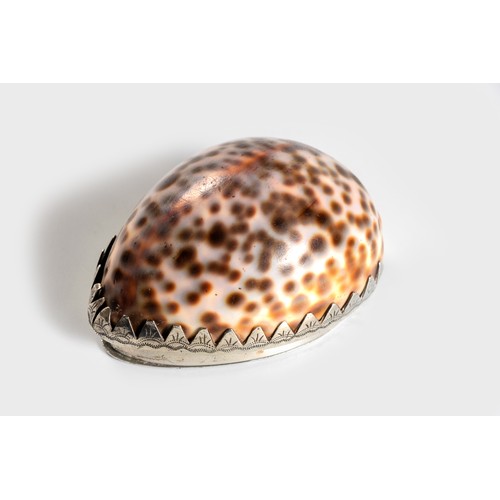 1219 - A CAPE SILVER-MOUNTED COWRIE SHELL SNUFFBOX, JOHANNES COMBRINK