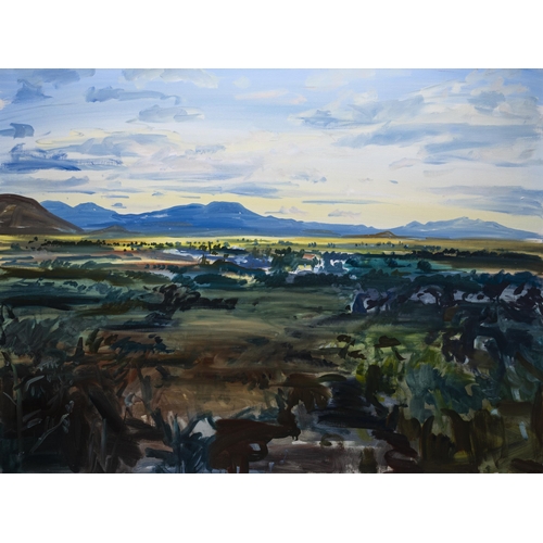 298 - Gerhard Batha (South African 1937 - ): NEAR GRAAFF REINET