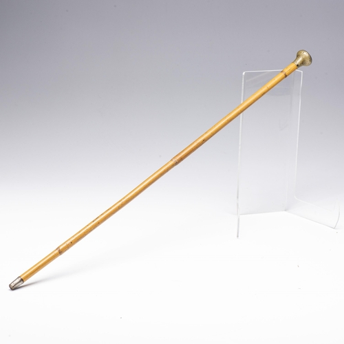 352 - A SPECIAL SERVICES BATTALION SWAGGER STICK