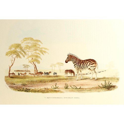 77 - Cornwallis Harris - PORTRAITS OF THE GAME AND WILD ANIMALS OF SOUTHERN AFRICA