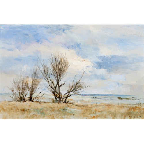 204 - Christopher Tugwell (South African 1938 - 2021) WINTER LANDSCAPE