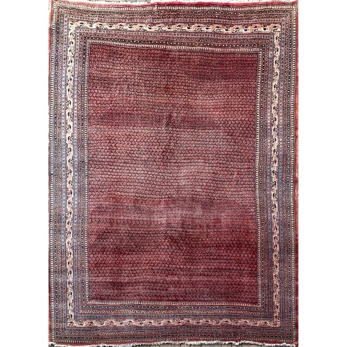 145 - AN ABACHE RUG, MODERN364cm by 270cm