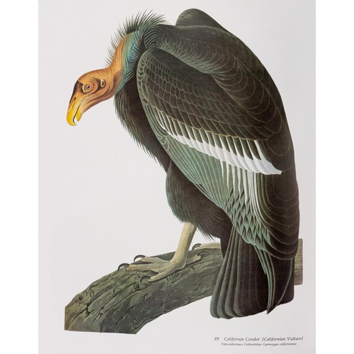 284 - AUDUBON'S BIRDS OF AMERICA