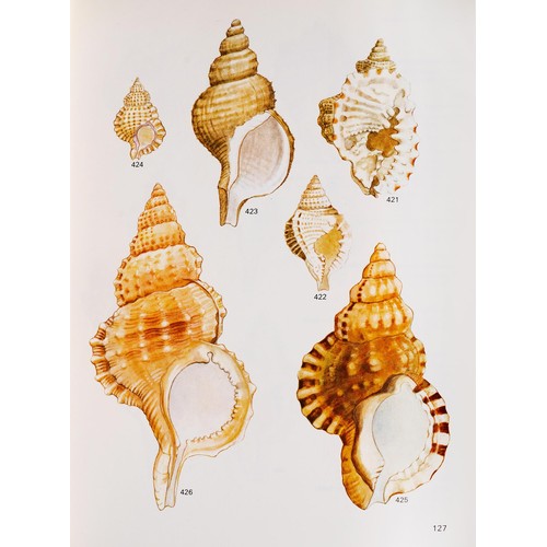 293 - SEA-SHELLS OF SOUTHERN AFRICA