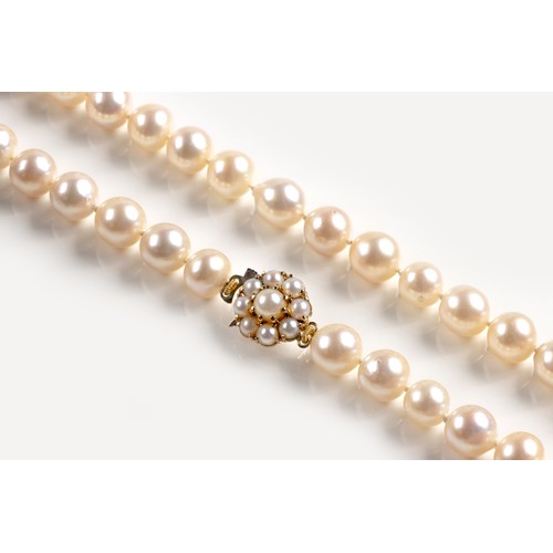 1039 - A PEARL NECKLACE