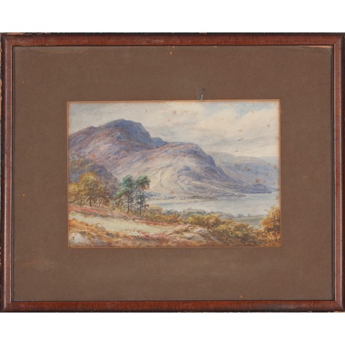 451 - After William Lakin Turner LANDSCAPE WITH LAKE