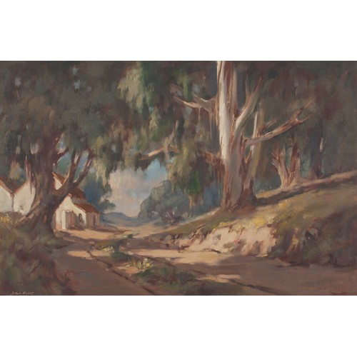 623 - Johan Oldert (South African 1912 - 1984) ROAD BETWEEN BLUE GUM TREES