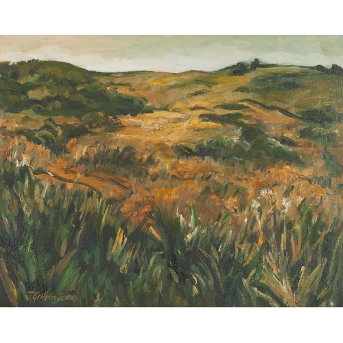 467 - Jacqueline Griffin-Jones (South African 1959 - ) GRASS LANDSCAPE