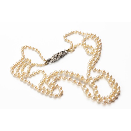 519 - A DOUBLE-STRAND PEARL NECKLACE