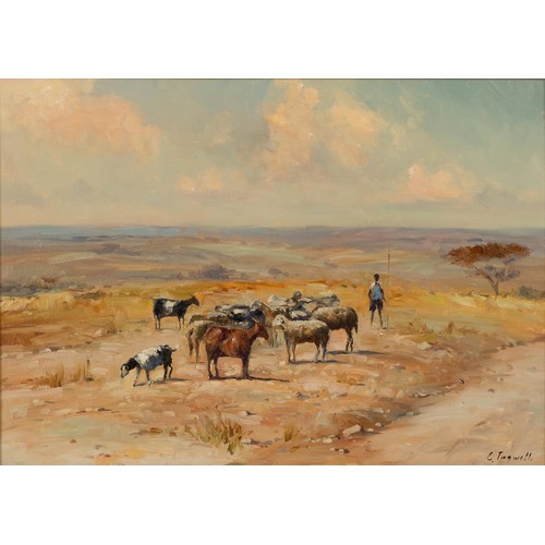 850 - Christopher Tugwell (South African 1938 - 2021) SHEPHERD