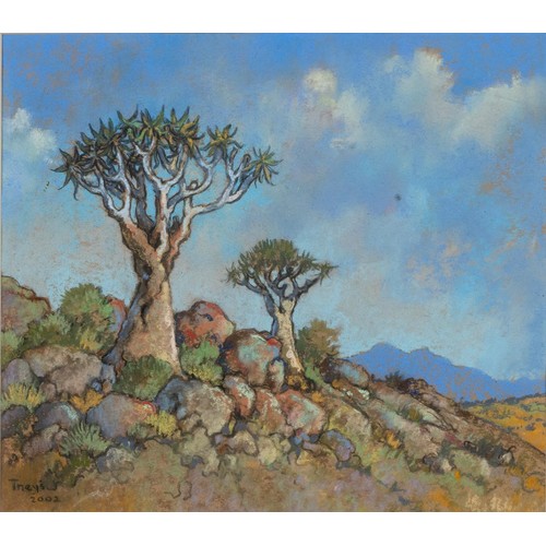 605 - Conrad Theys (South African 1940 - ) QUIVER TREES