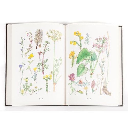 16 - FLOWERING PLANTS OF THE SOUTHERN CAPE (Limited Edition, Signed by Author) by Pauline Bohnen