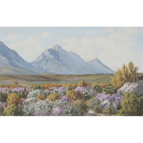 601 - Vera Volschenk (South African 1899 - 1987) SPRING FLOWERS - RIVERSDALE C.P