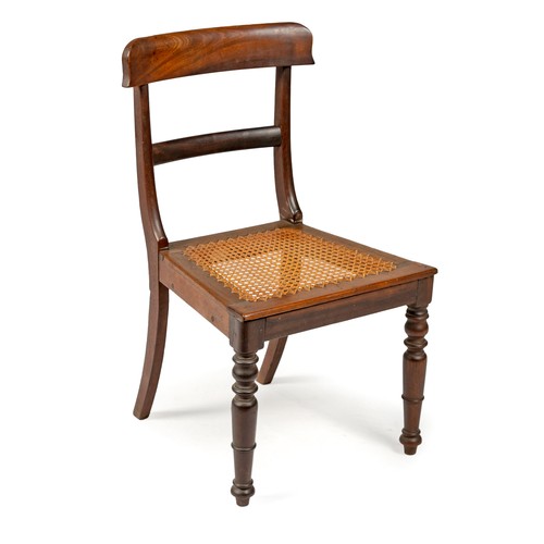 302 - A CAPE STINKWOOD REGENCY CHAIR, LATE 19TH CENTURY