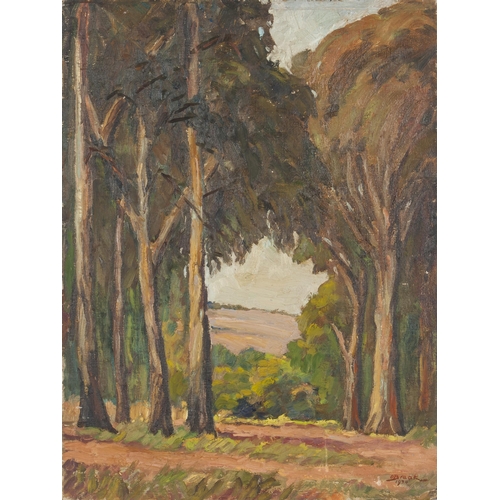 277 - Olchert Braak (South Africa 1894 - 1971) FONTEINE PRETORIA and VINEYARD, two in lot