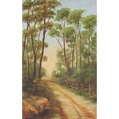 278 - Artist Unknown (*** 20th Century) COUNTRY ROAD