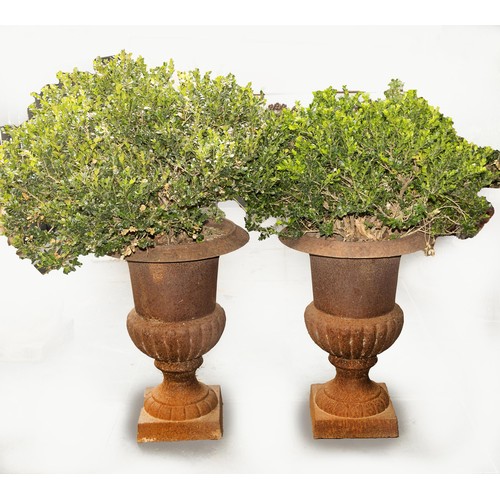 1066 - A PAIR OF CAST IRON CAMPANA-SHAPED GARDEN PLANTERS