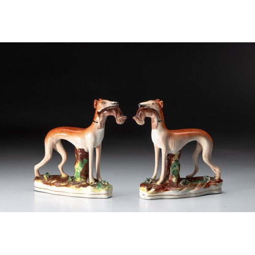 1022 - A PAIR OF STAFFORDSHIRE HUNTING DOGS, LATE 19TH/EARLY 20TH CENTURY