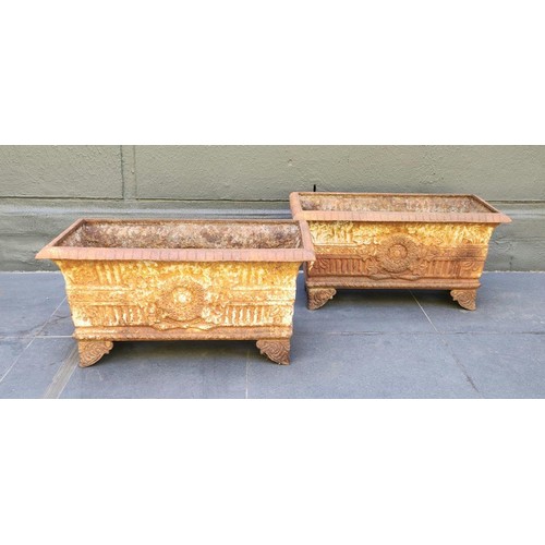 1067 - A PAIR OF CAST IRON GARDEN PLANTERS