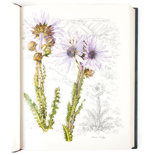 738 - FLOWERS OF SOUTHERN AFRICA (Limited Edition, Signed by Author) by Auriol Batten