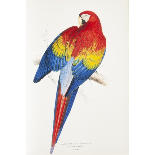 731 - THE BIRDS OF EDWARD LEAR: A SELECTION OF THE 12 FINEST BIRD PLATES OF THE ARTIST (Limited Edition) b... 