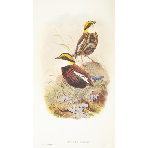 735 - MONOGRAPH OF THE PITTIDAE (2 Parts in 1 Vol. Facsimile Reprint) by John Gould