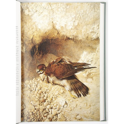 730 - STUDIES & SKETCHES OF A BIRD PAINTER (Limited Edition, Signed by Author) by Raymond Ching