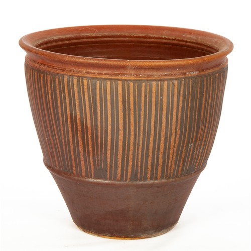 559 - A TERRACOTTA GARDEN POT