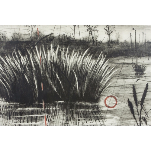 689 - William Joseph Kentridge (South African 1955 - ) REEDS