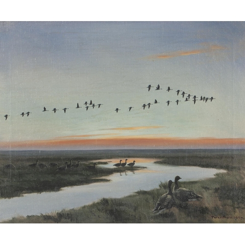 666 - Sir Peter Markham Scott (British 1909 - 1989) GEESE IN FLIGHT