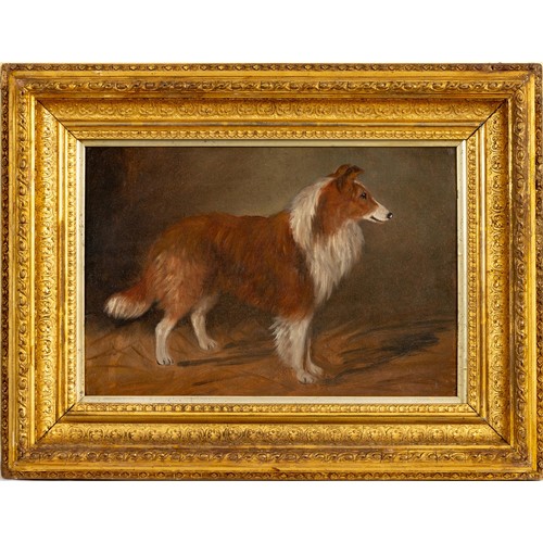 463 - Unknown Artist (English 20th Century) SCOTCH COLLIE I and SCOTCH COLLIE II, two in the lot