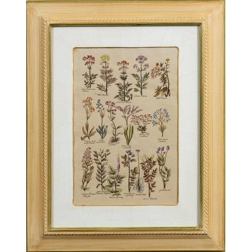 491 - Unknown Artist (20th Century) BOTANICAL STUDIES, six in the lot