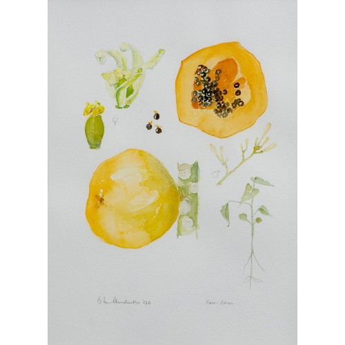 489 - Unknown Artist (20th Century) ORANGES and PAW-PAW, two in the lot