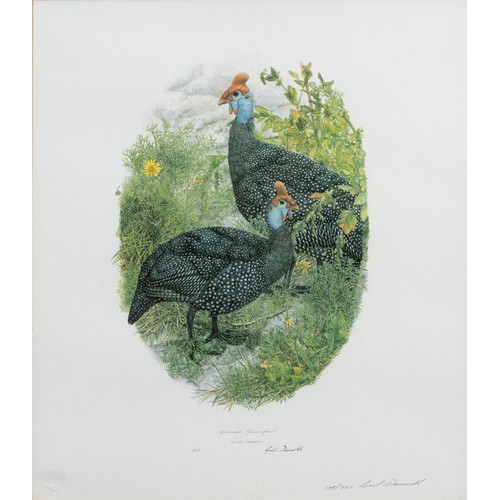 493 - Gail Darroll (South African 1952 - ) CROWNED GUINEAFOWL, NUMIDA MELEAGRIS and REDNECKED FRANCOLIN, F... 