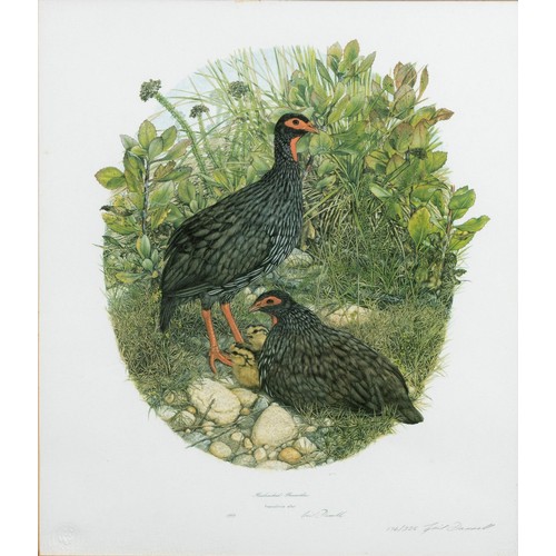 493 - Gail Darroll (South African 1952 - ) CROWNED GUINEAFOWL, NUMIDA MELEAGRIS and REDNECKED FRANCOLIN, F... 