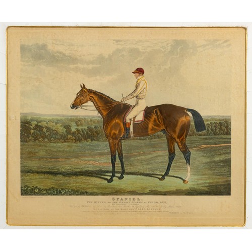 507 - After John Frederick HerringSPANIEL, WINNER OF THE DERBY STAKES AT EPSOM, 1831