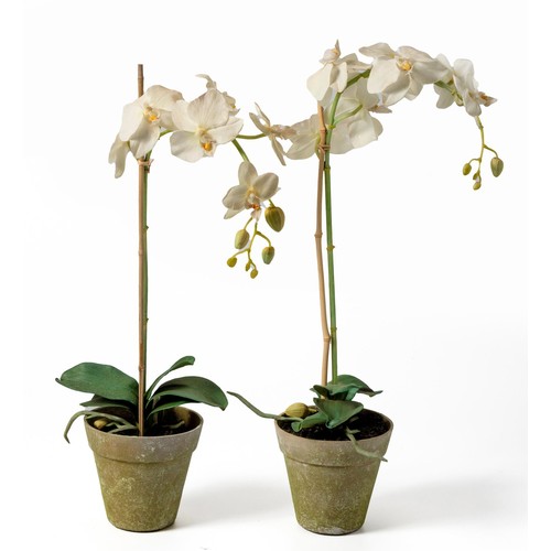 393 - A PAIR OF POTTED FAUX ORCHIDS