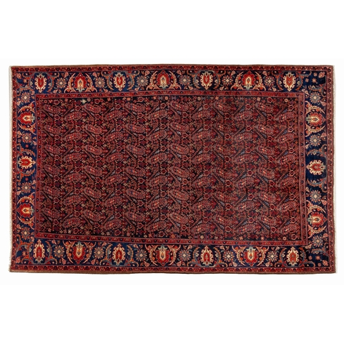 186 - A BIDJAR RUG 338 by 220cm