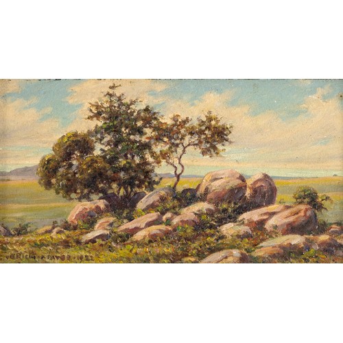 464 - Erich (Ernst Karl) Mayer (South African 1876 - 1960) LANDSCAPE WITH TREES AND ROCKS