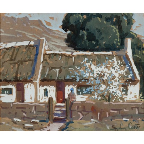 471 - Sydney Carter (South African 1874 - 1945) COTTAGE WITH CHERRY BLOSSOMS