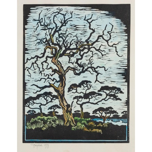 440 - Gregoire Boonzaier (South African 1909 - 2005) TREE