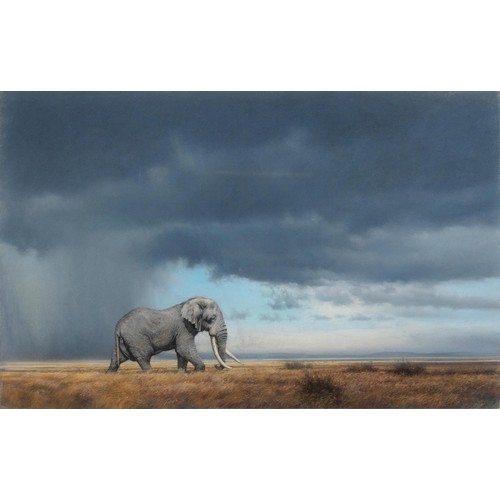 407 - Ignatius Marx (South African 1962 - ) ELEPHANT STORM