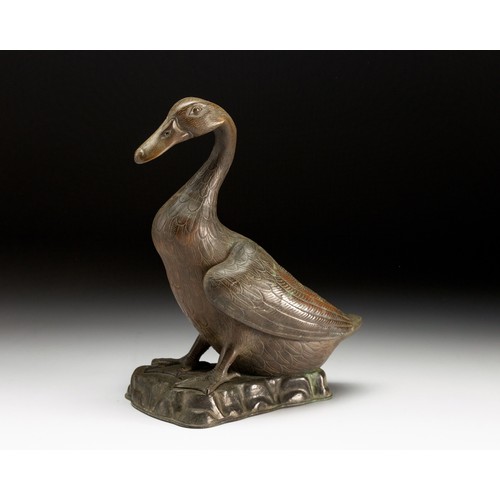 623 - A CHINESE BRONZE MODEL OF A DUCK, LATE 19TH/EARLY 20TH CENTURY