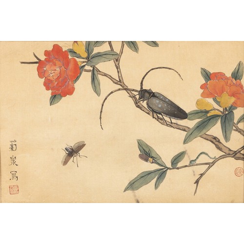 638 - A SET OF TEN CHINESE WATERCOLOUR ON SILK PAINTINGS, REPUBLIC PERIOD, 1912 - 1949