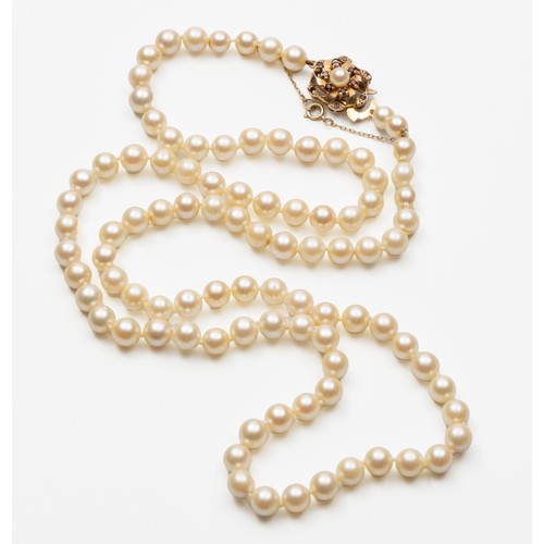 844 - AN OPERA-LENGTH PEARL NECKLACE